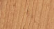 ALDER
