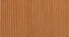CEDAR