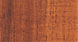 KOA