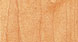 HARD ROCK MAPLE