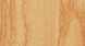 SWAMP ASH